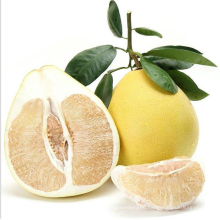 Grapefruit High Quality 2021 New Crop Chinese Shaddock fresh Honey Pomelo